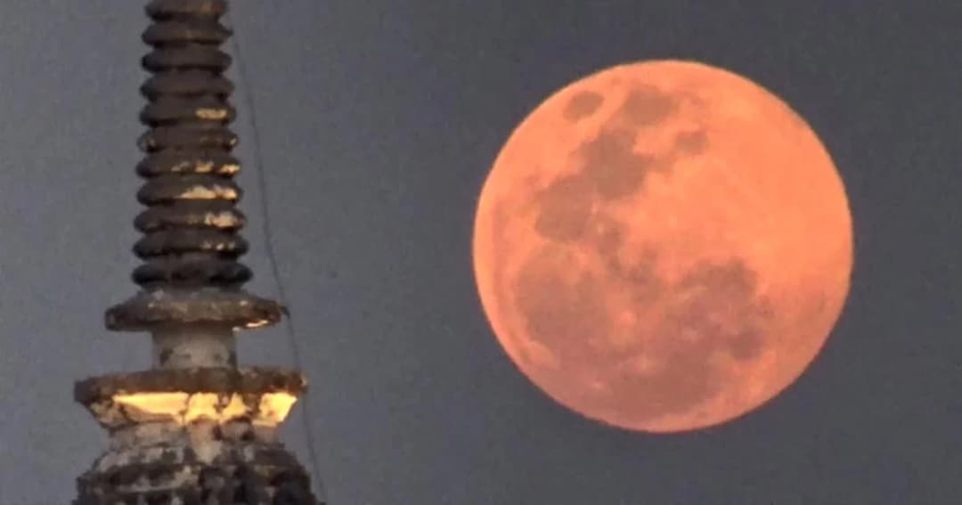 ชมซูเปอร์ฟูลมูน ที่เจดีย์หลวง วัดราชบูรณะ จ.พิษณุโลก