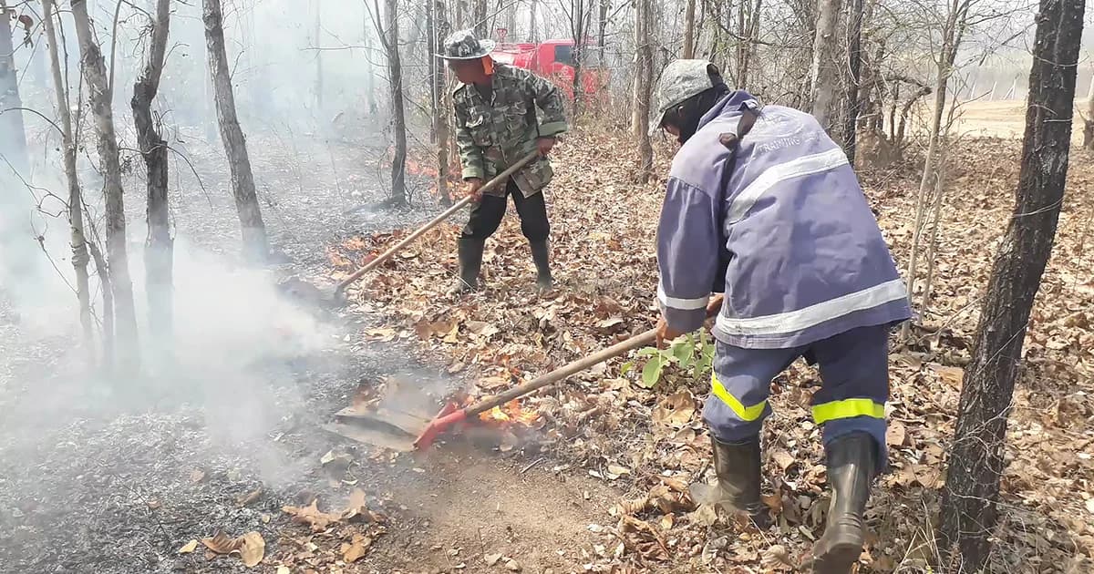ไฟป่า จ.ตาก เผาวอดกว่า 300 ไร่ คาดฝีมือนายพรานเผาป่า-ล่าสัตว์