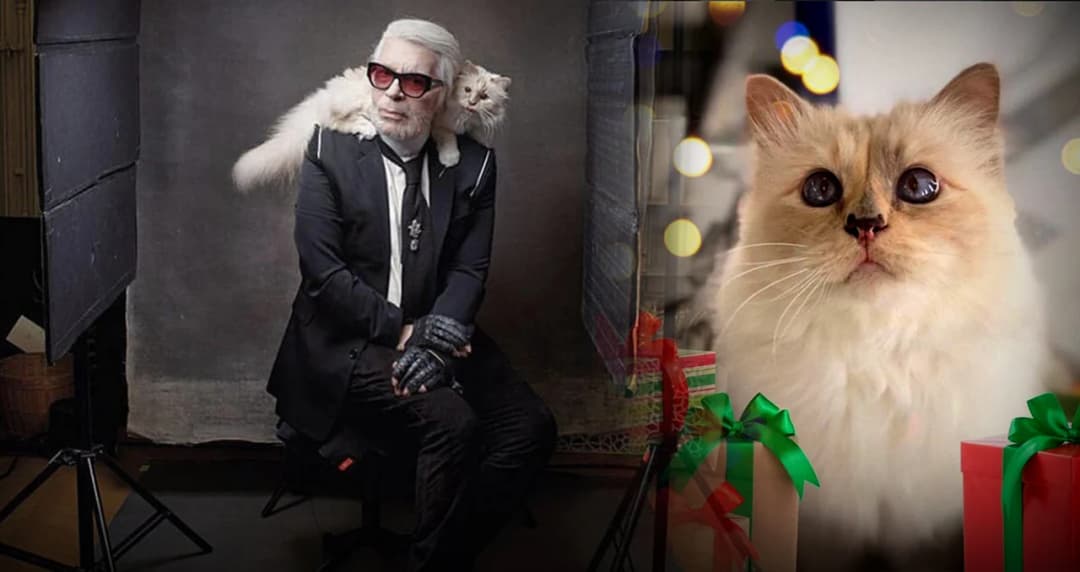 เปิดชีวิต “ชูเพ็ทท์” แมวคู่กายของ “คาร์ล ลาเกอร์เฟลด์” ผู้ล่วงลับ