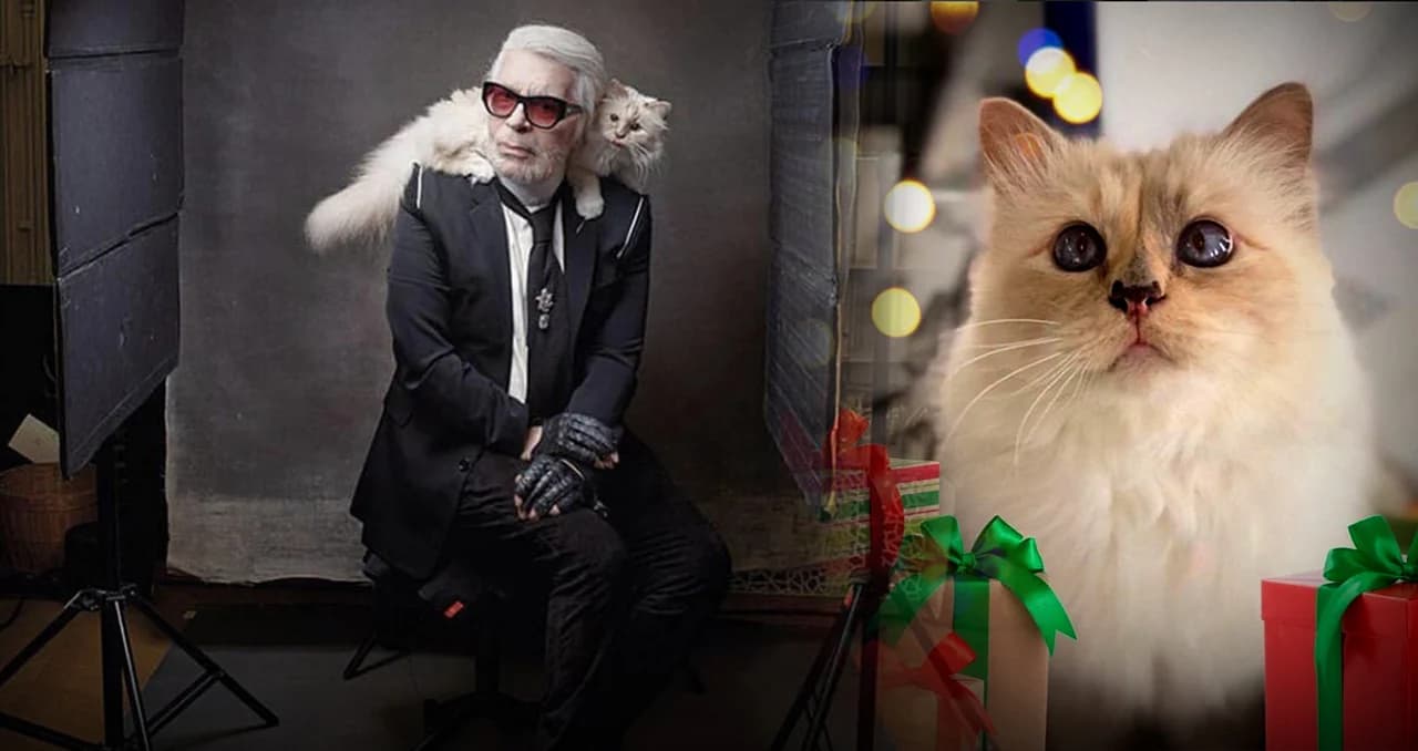 เปิดชีวิต “ชูเพ็ทท์” แมวคู่กายของ “คาร์ล ลาเกอร์เฟลด์” ผู้ล่วงลับ