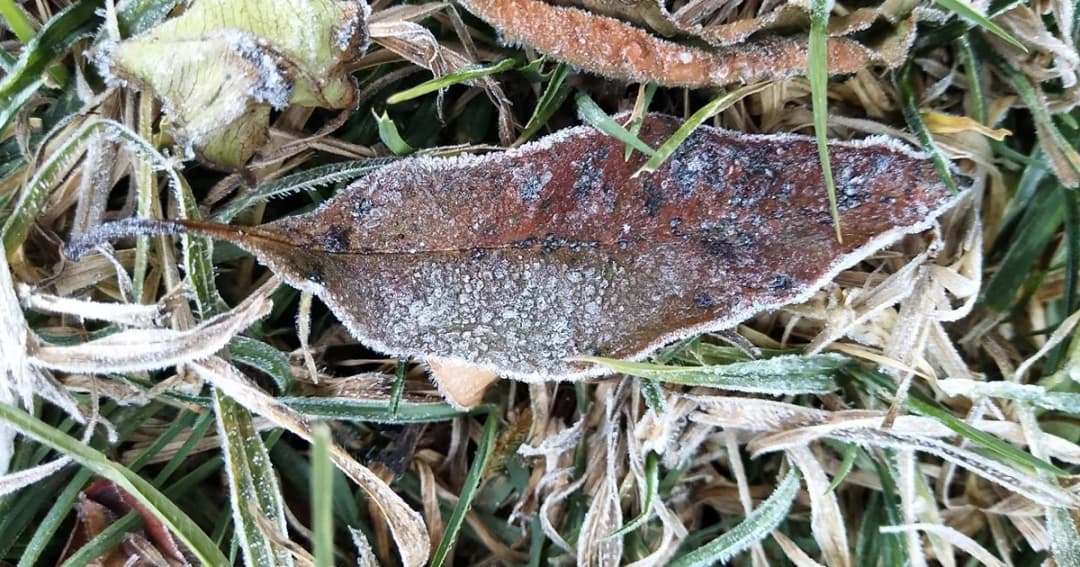 เหมยขาบโผล่! รับฤดูร้อนวันแรก กิ่วแม่ปานอุณหภูมิต่ำสุด 3 องศา