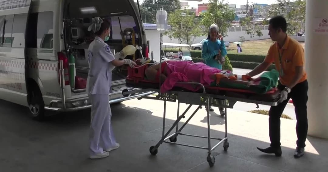 ลุงตัดต้นจามจุรีขนาดใหญ่ พลาดล้มทับหมดสติ-เลือดออกในสมอง