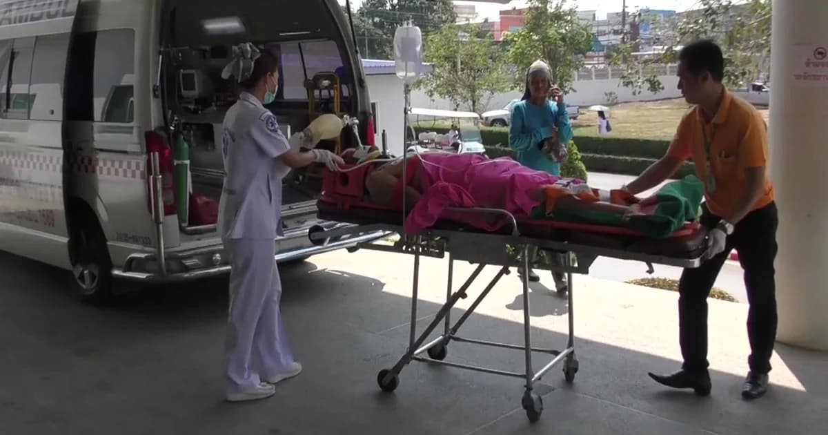 ลุงตัดต้นจามจุรีขนาดใหญ่ พลาดล้มทับหมดสติ-เลือดออกในสมอง