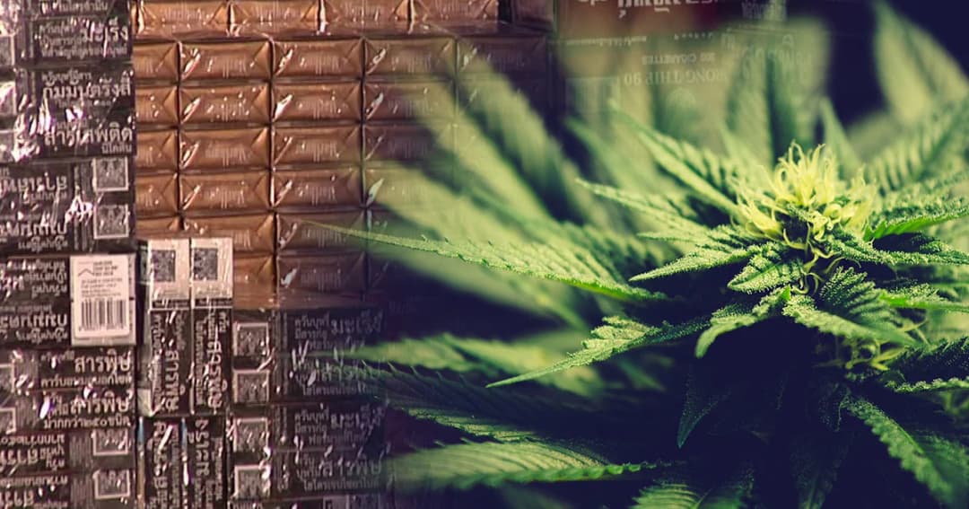 การยาสูบฯ โอดขยับภาษีบุหรี่ 40% กำไรทรุด กัดฟันแตกไลน์ธุรกิจบุกตลาดกัญชง