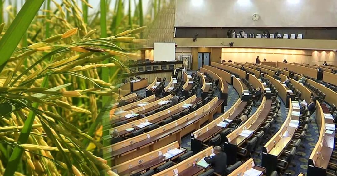 สนช.ถอน “ร่างพ.ร.บ.ข้าว” รอหลังเลือกตั้ง ยืนยันไม่มีใบสั่งนายกฯ