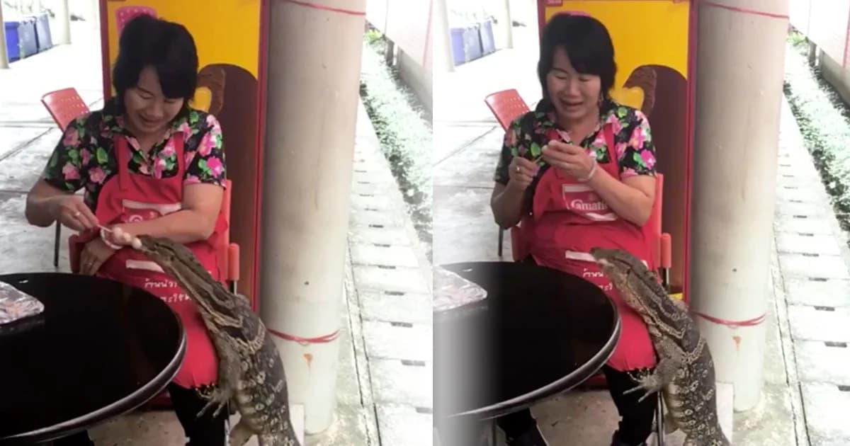 แสนรู้! ตัวเงินตัวทองสุดน่ารัก อ้อนแม่ค้าขออาหาร