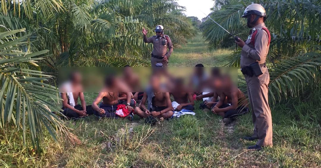 พบเยาวชนมุสลิม 12 คน กระโดดรถบัสหนีซุกสวนปาล์ม จ.พัทลุง อ้างไม่อยากกลับไปปอเนาะ