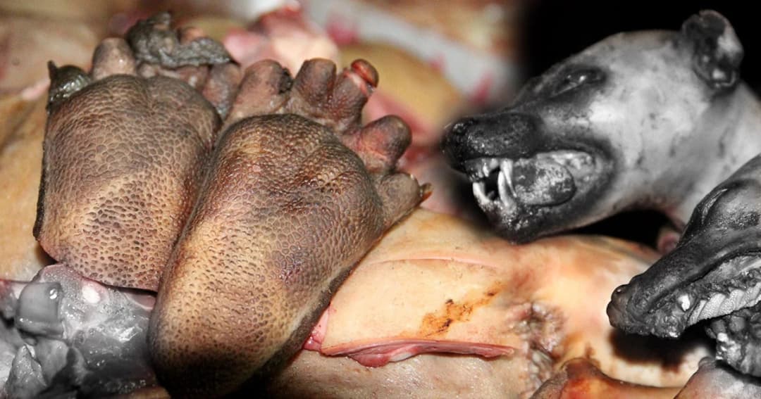 บุกจับเครือข่ายค้าของป่ากลางตลาดหล่มสัก จ.เพชรบูรณ์