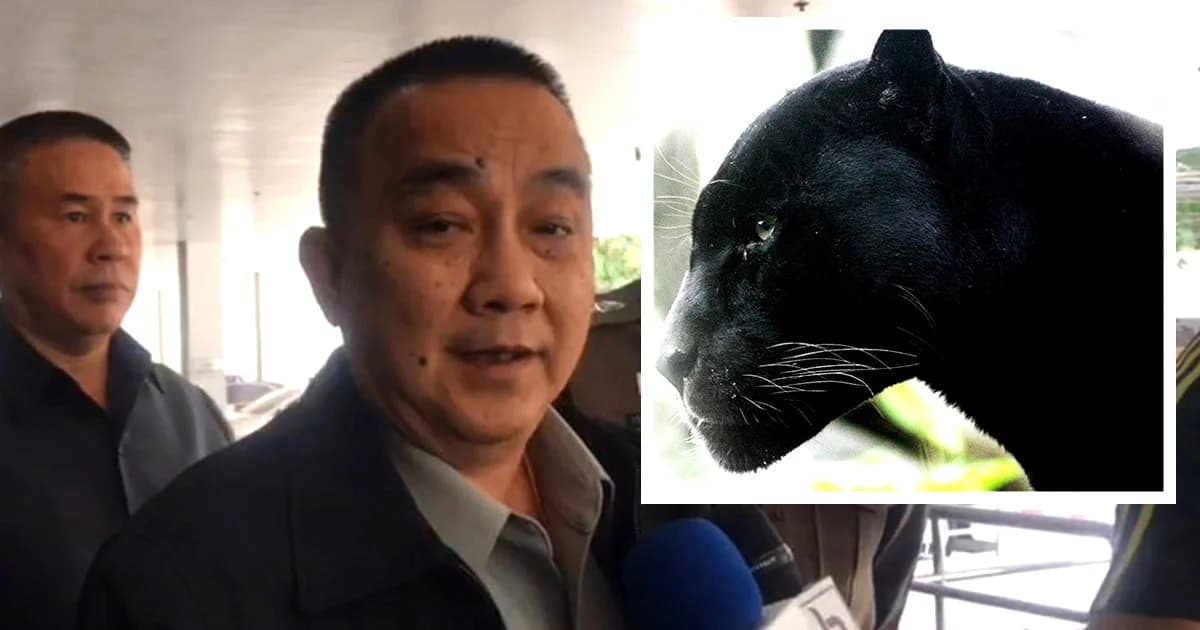 “ศรีวราห์” ย้ำ มั่นใจในพยานหลักฐาน คดีเสือดำ