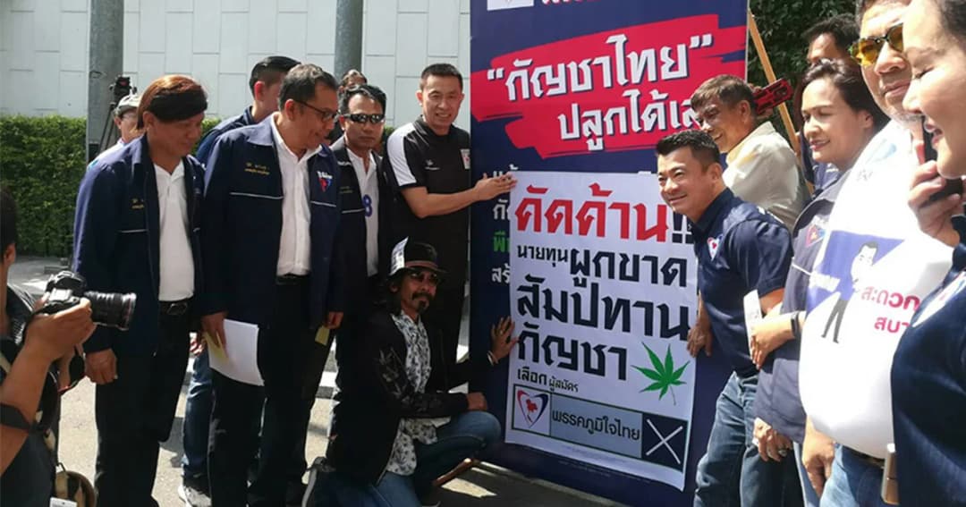 ภูมิใจไทย ชวน ปชช.ติดสติกเกอร์ ค้านผูกขาดสัมปทานกัญชา