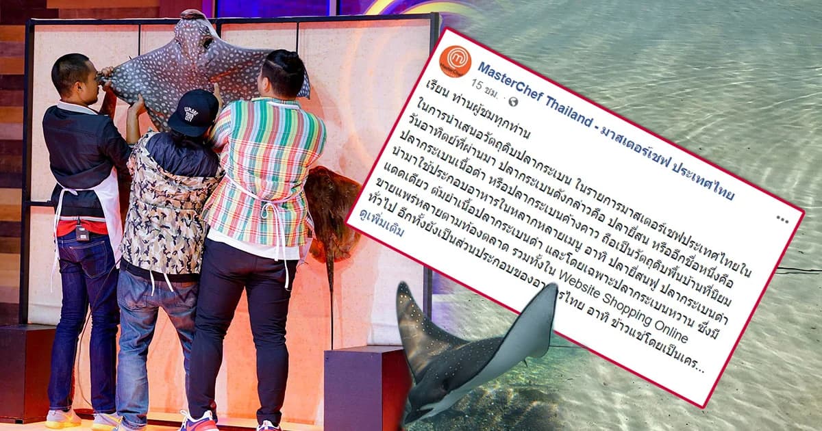 มาสเตอร์เชฟไทยแลนด์ ชี้แจงไม่ได้ใช้ปลากระเบนนกปรุงอาหาร