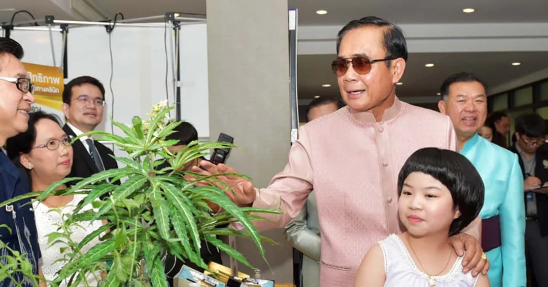 “บิ๊กตู่” เจ็บตา ยังไม่ตอบปราศรัยโคราช-ยัน “กัญชา” ไม่ค้าขายเสรี