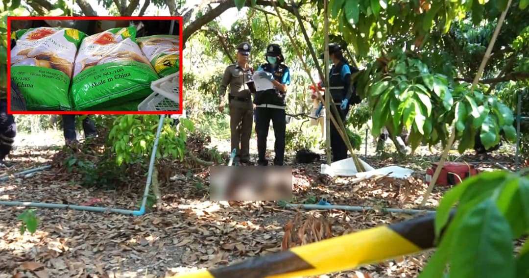 ผสมผิดสูตร สารราดลำไยให้ออกดอกระเบิด ดับคาที่