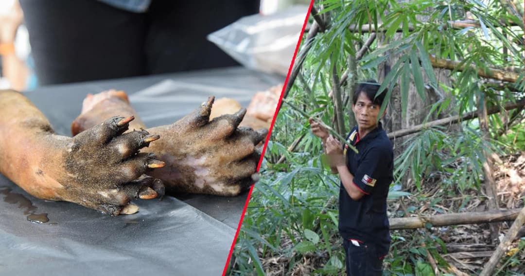 ศาลพิพากษาจำคุก ‘ตาต้า’ มือยิงหมีขอ สารภาพลดเหลือ 3 ปี 7 เดือน