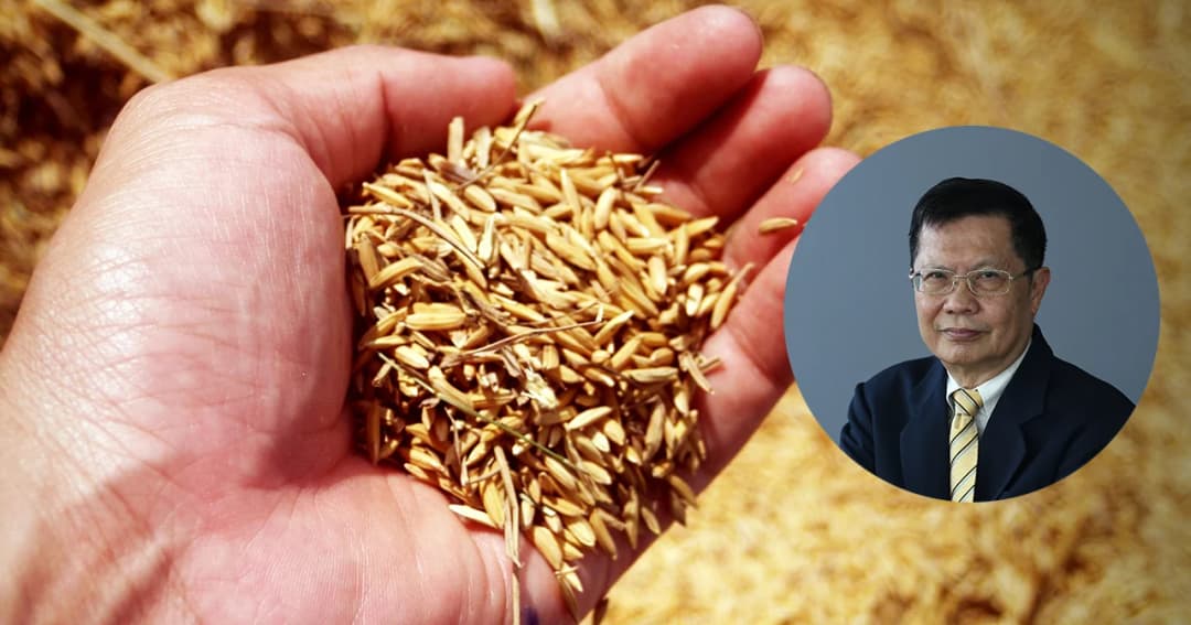 นักวิชาการ TDRI: ร่าง พ.ร.บ.ข้าว ฉบับปัจจุบัน อาจเพิ่มต้นทุนให้วงการค้าข้าว