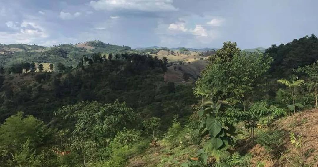 สนช. ผ่านร่าง พ.ร.บ.อุทยานฯ บุกรุกป่าจำคุก 5 ปี ปรับ 5 แสน