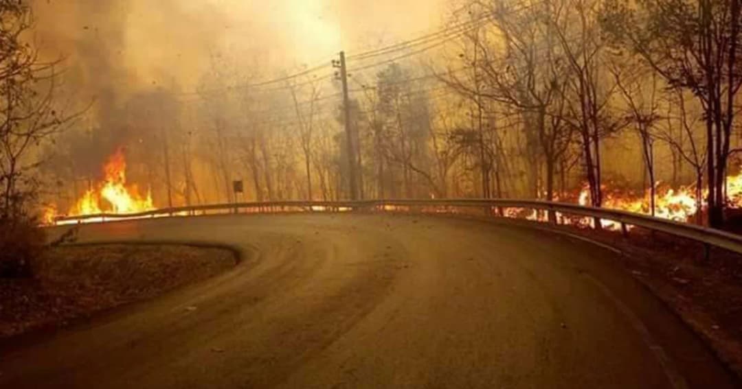 วิกฤตหนัก! อุทยานฯ ตาดโตน จ.ชัยภูมิ เกิดไฟไหม้ข้างทาง เสียหาย 200 ไร่