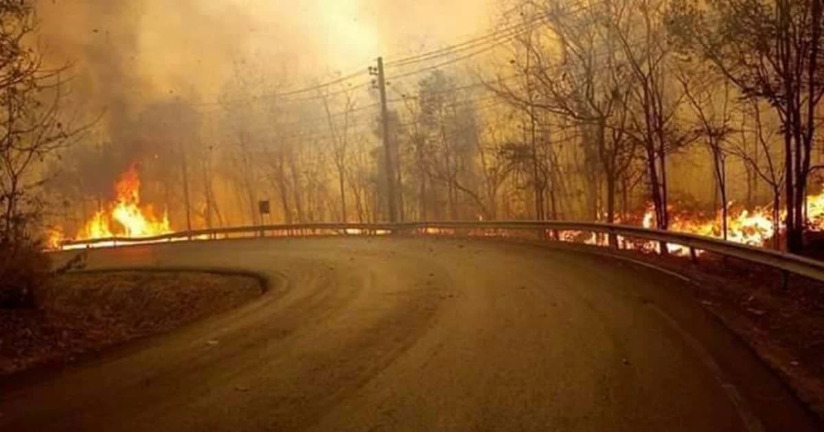 วิกฤตหนัก! อุทยานฯ ตาดโตน จ.ชัยภูมิ เกิดไฟไหม้ข้างทาง เสียหาย 200 ไร่