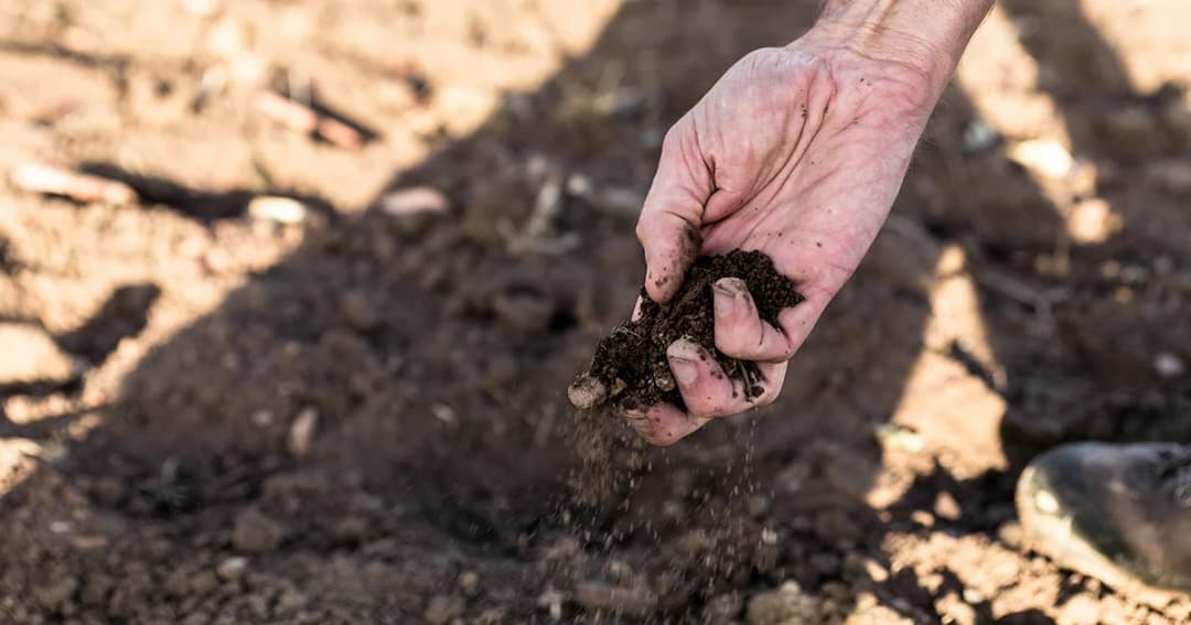 ปีนี้แล้งหนัก! สทนช.ชงมาตรการด่วนตั้งหน่วยงานเจ้าภาพหลักจับคู่พื้นที่เสี่ยงภัยแล้ง