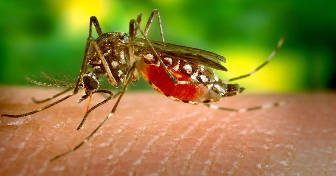 ไข้เลือดออกระบาดอีสาน สธ.สั่งทุกโรงพยาบาลเปิดศูนย์ปฏิบัติการฉุกเฉิน