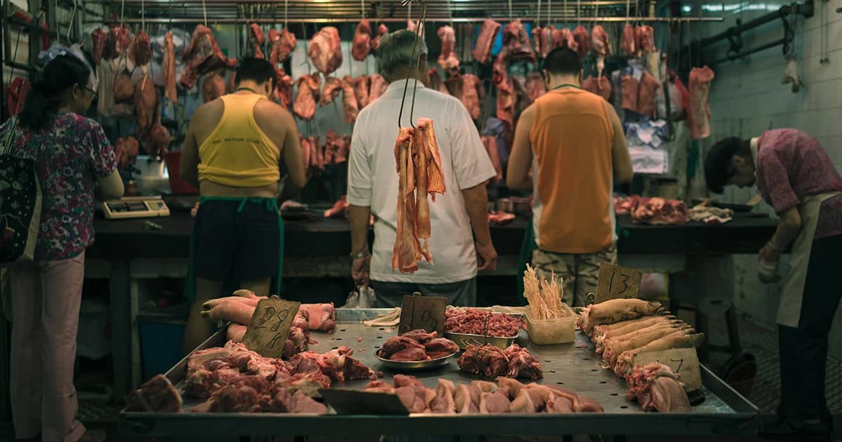 กรมควบคุมโรคย้ำ ‘โรคอหิวาต์แอฟริกา’ ในหมูไม่ติดต่อสู่คน