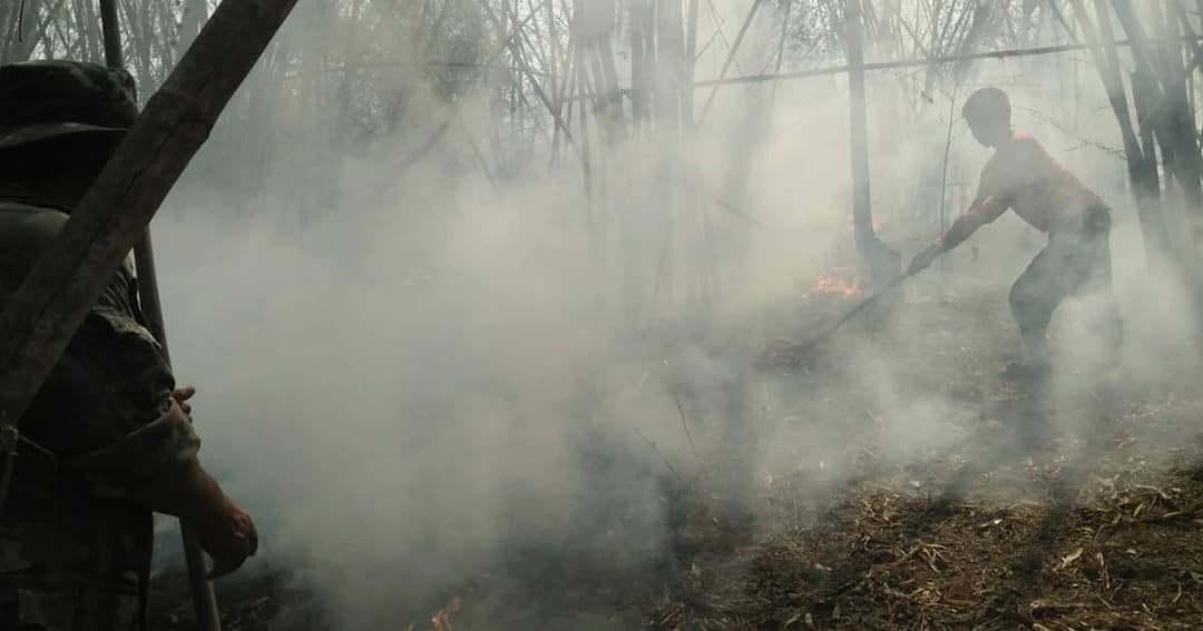 9 จังหวัดภาคเหนือ เผชิญปัญหาฝุ่นพิษระดับวิกฤติหนัก