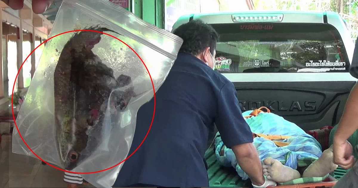 ปากคาบปลา มือจับปลาอีกตัว สุดท้ายปลาดินลงคอเสียชีวิต