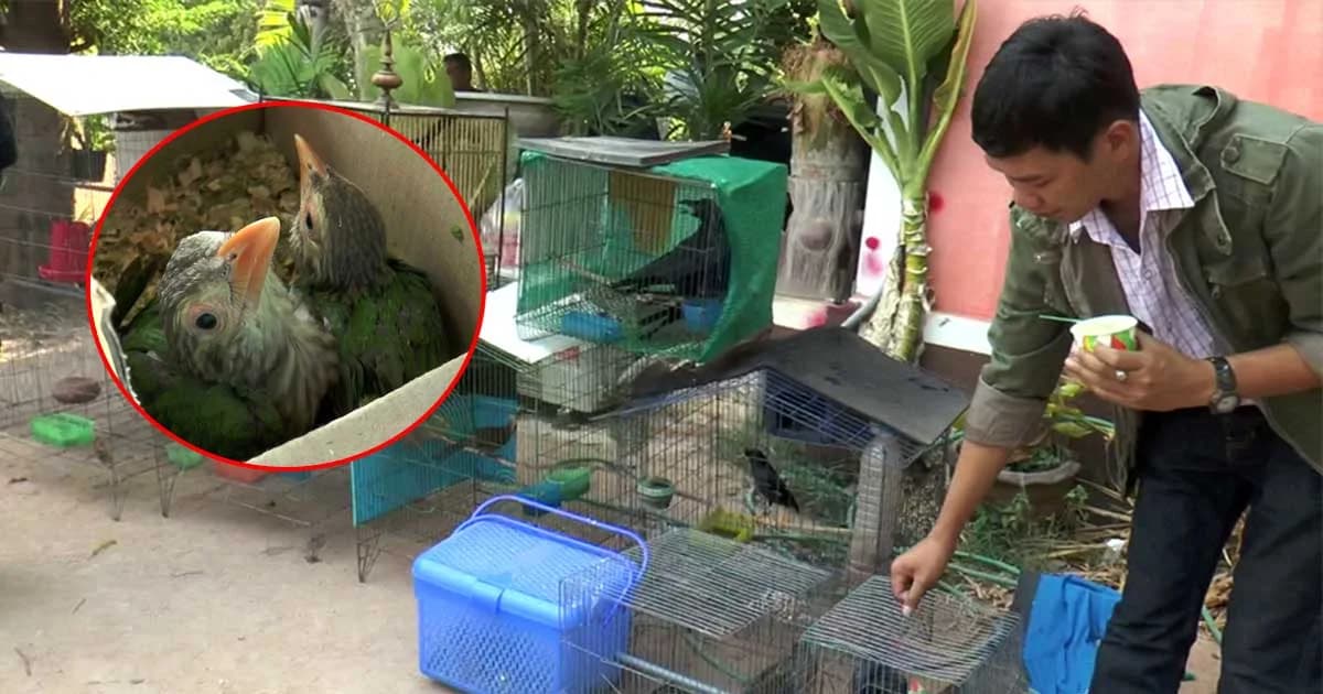 “ชุดเหยี่ยวดง” บุกค้นบ้าน อส.โคราช ยึดนกสัตว์ป่าคุ้มครอง หลังโพสต์ขายผ่านเฟซบุ๊ก