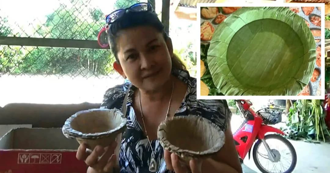 ชาวสวน นำใบตองสด เเห้ง เเปรรูปเป็นภาชนะใส่อาหาร ทดแทนโฟม