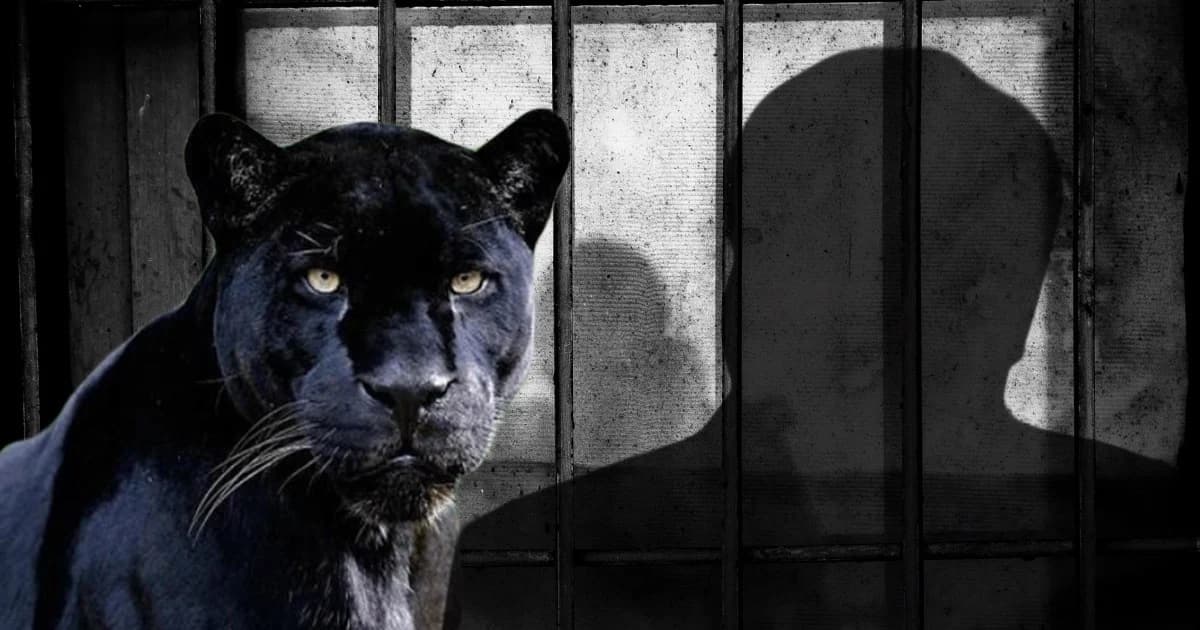 จับตาคำพิพากษา ‘คดีล่าเสือดำ’ 1 ปีที่รอคอยและการเรียกร้องความเป็นธรรม