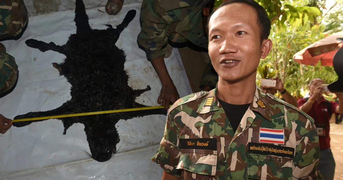 “หัวหน้าวิเชียร” พอใจคำตัดสิน เชื่อเป็นประโยชน์ต่อ ‘เสือดำ’ และสัตว์ป่าที่ตาย