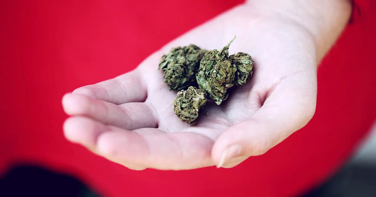 ป.ป.ส. เตือนโพสต์ซื้อ-ขาย ‘กัญชา’ และยาเสพติดผ่านสื่อออนไลน์เป็นการกระทำผิดกฎหมาย