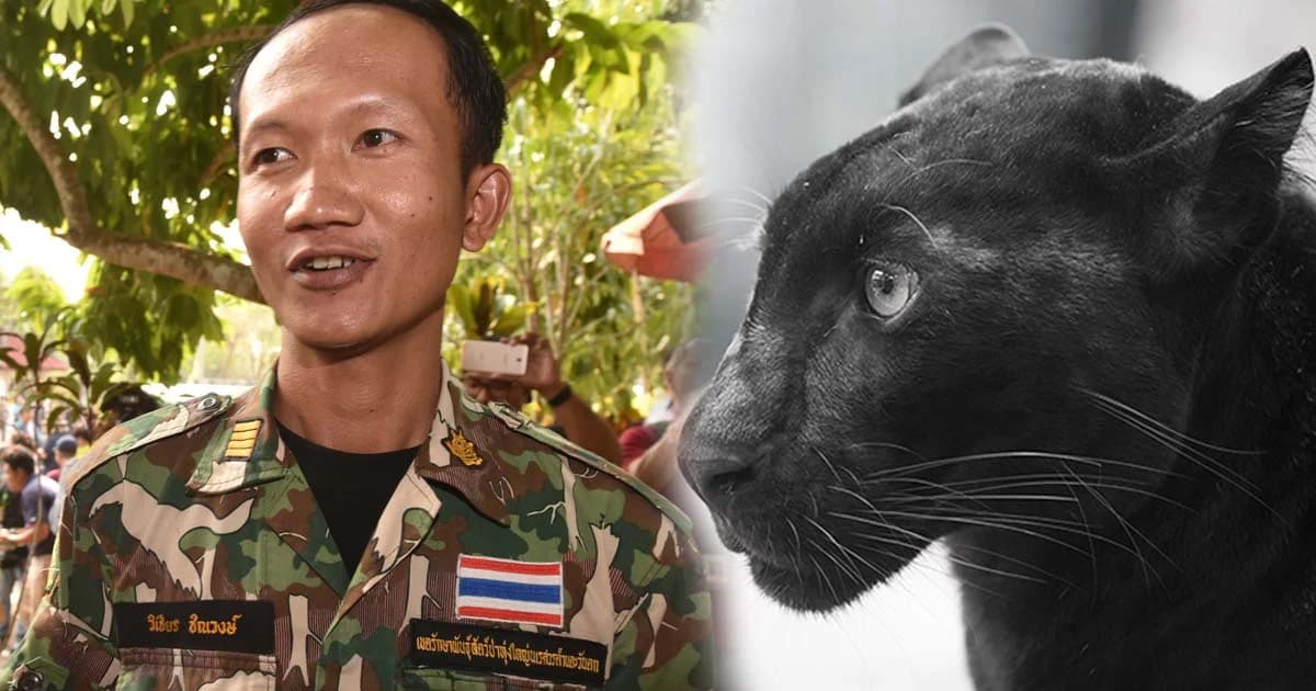 ความในใจ “วิเชียร ชิณวงษ์” กับ 1 ปีที่ต่อสู้ เพื่อเสือดำทุ่งใหญ่นเรศวร