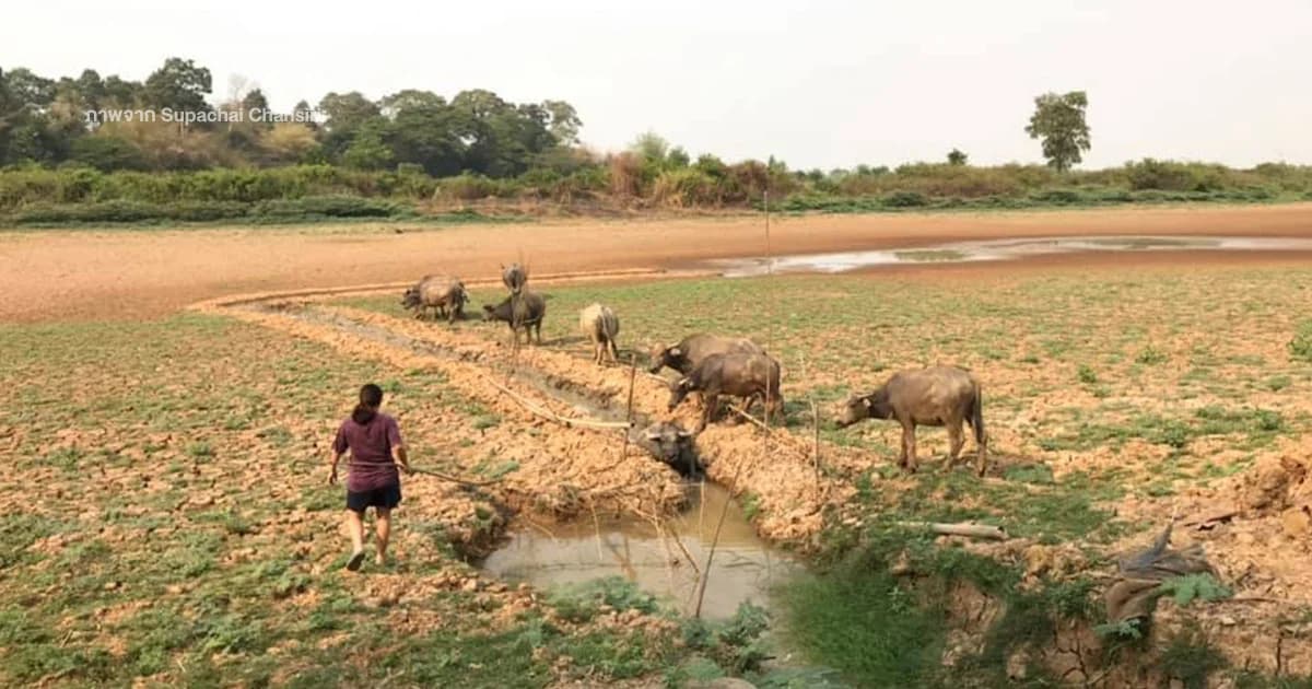 บิ๊กฉัตร เตรียมถกปัญหาภัยแล้ง ย้ำ ปชช.ต้องมีน้ำใช้