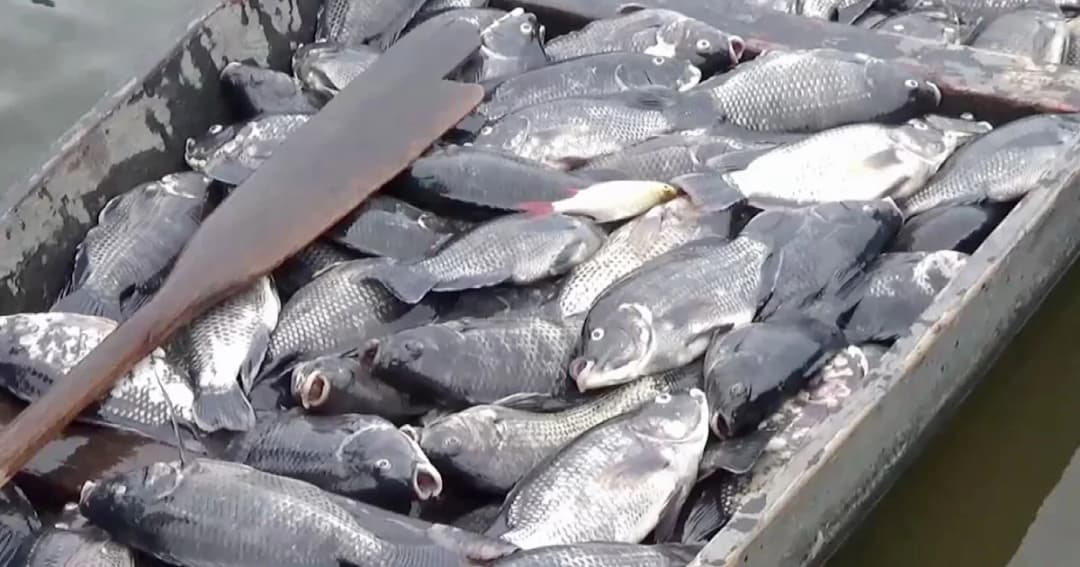 ปัญหาภัยแล้ง-ฝุ่นพิษ ส่อกระทบเศรษฐกิจ 15,000 ล้านบาท