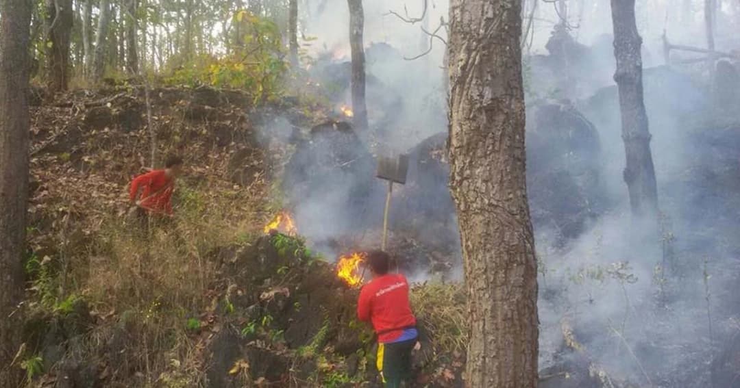 รมว.เกษตรฯ ตั้งชุดปฏิบัติการยับยั้งการเผา เร่งแก้หมอกควัน-มลพิษฝุ่น