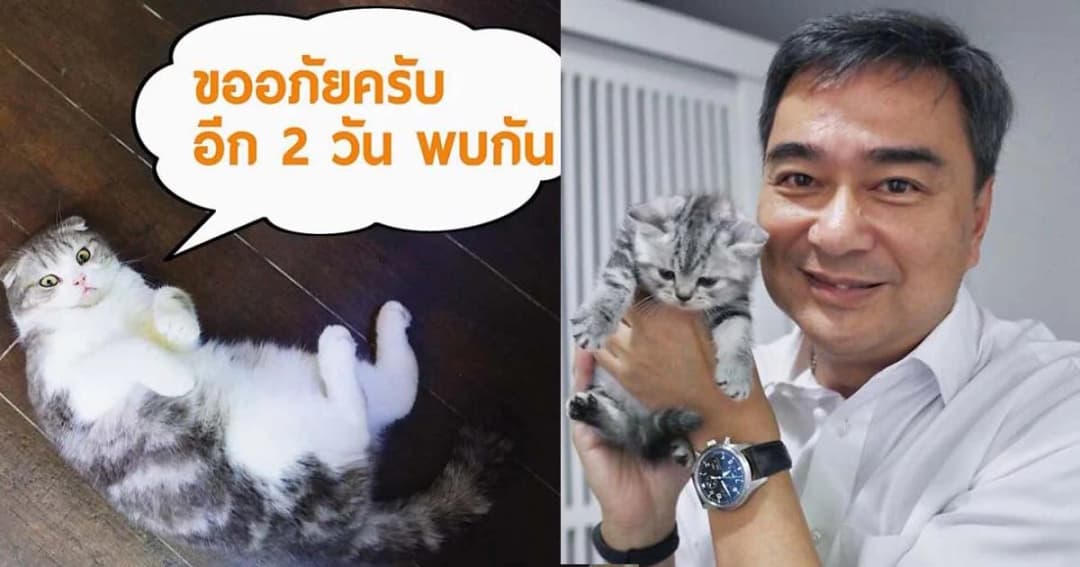 ‘มาร์ค ทาสแมว’ ฮอต! คนแห่ไลน์หาขอดูรูปแมวจนพังต้องขอให้หยุด 2 วัน