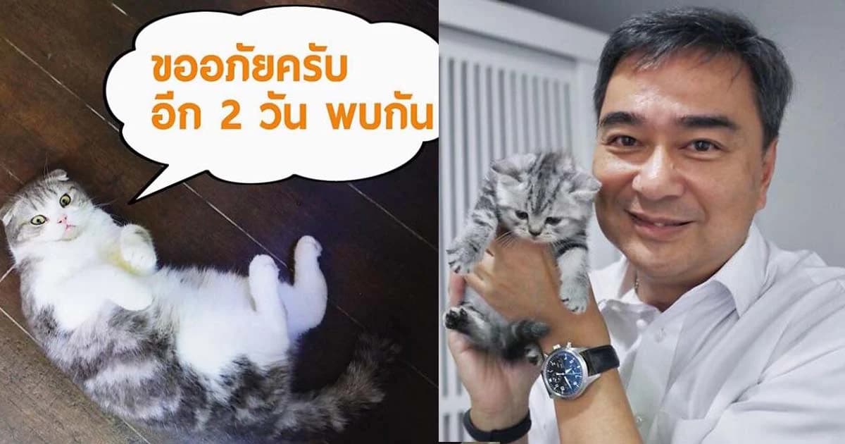 ‘มาร์ค ทาสแมว’ ฮอต! คนแห่ไลน์หาขอดูรูปแมวจนพังต้องขอให้หยุด 2 วัน