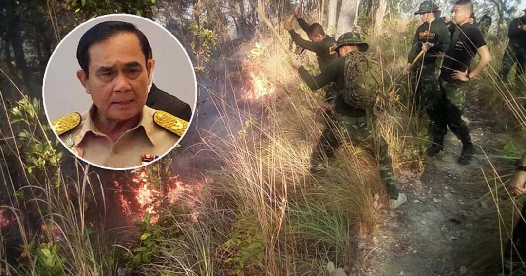 วิกฤตPM2.5ภาคเหนือ! นายกฯ สั่งเข้มใช้กฎหมายจับคนเผาป่า วอดแล้ว 1.2 แสนไร่