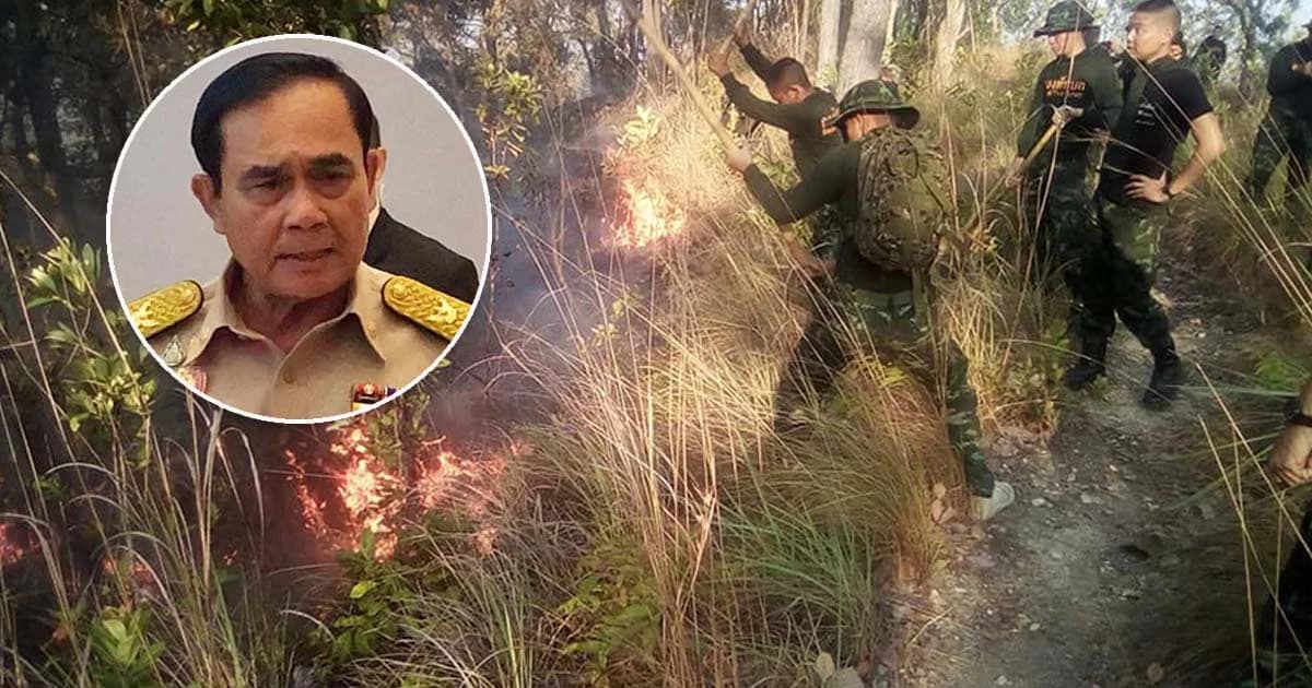 วิกฤตPM2.5ภาคเหนือ! นายกฯ สั่งเข้มใช้กฎหมายจับคนเผาป่า วอดแล้ว 1.2 แสนไร่