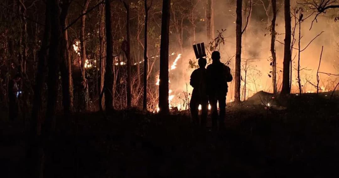 ฉวยโอกาส! เพจปลอมขอบริจาคเงิน อ้างช่วย จนท.ป่าไม้ดับไฟ