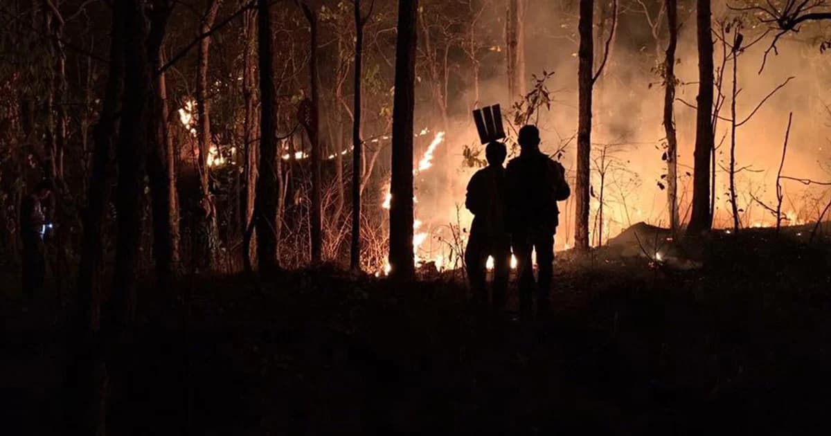 ฉวยโอกาส! เพจปลอมขอบริจาคเงิน อ้างช่วย จนท.ป่าไม้ดับไฟ