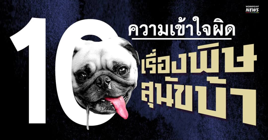 เปิดอ่านทำความเข้าใจ 10 ข้อ คนมักเข้าใจผิด “โรคพิษสุนัขบ้า”