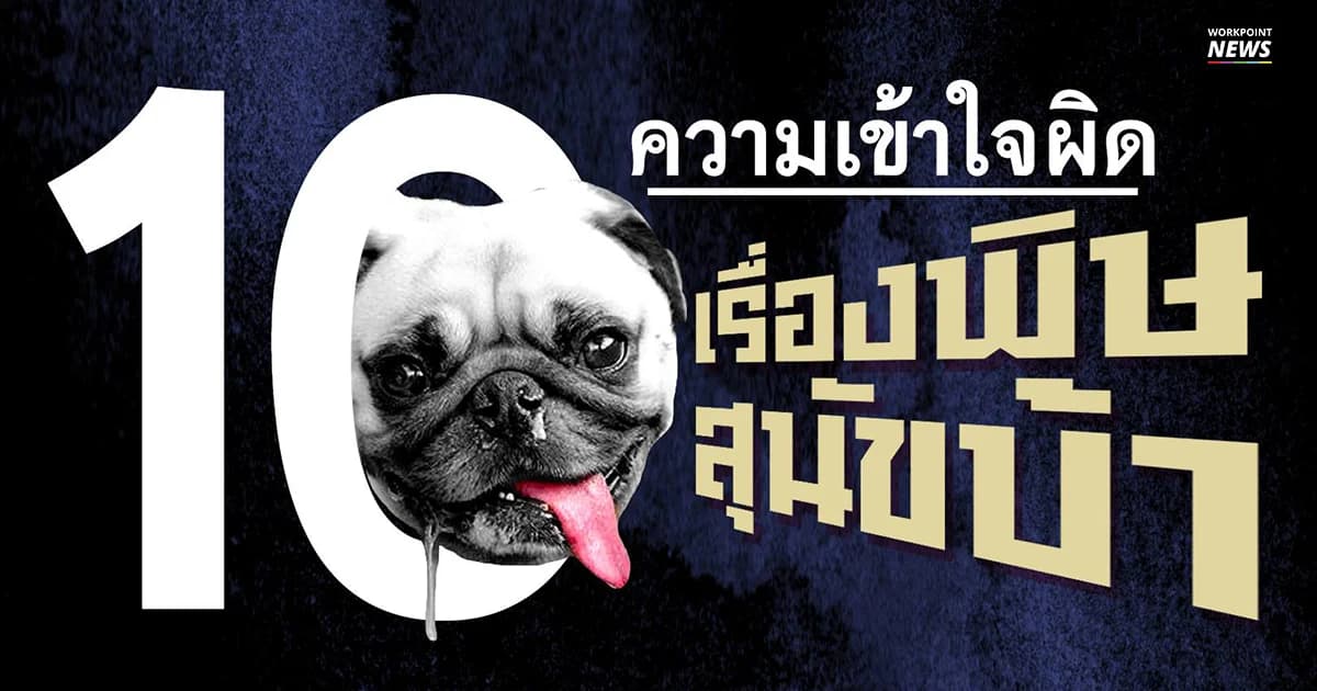 เปิดอ่านทำความเข้าใจ 10 ข้อ คนมักเข้าใจผิด “โรคพิษสุนัขบ้า”