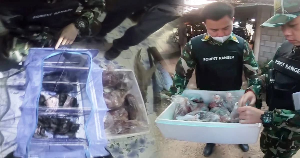 รวบนายพรานเชียงดาวพร้อมซากเลียงผา เตรียมแจ้งข้อหาหนัก