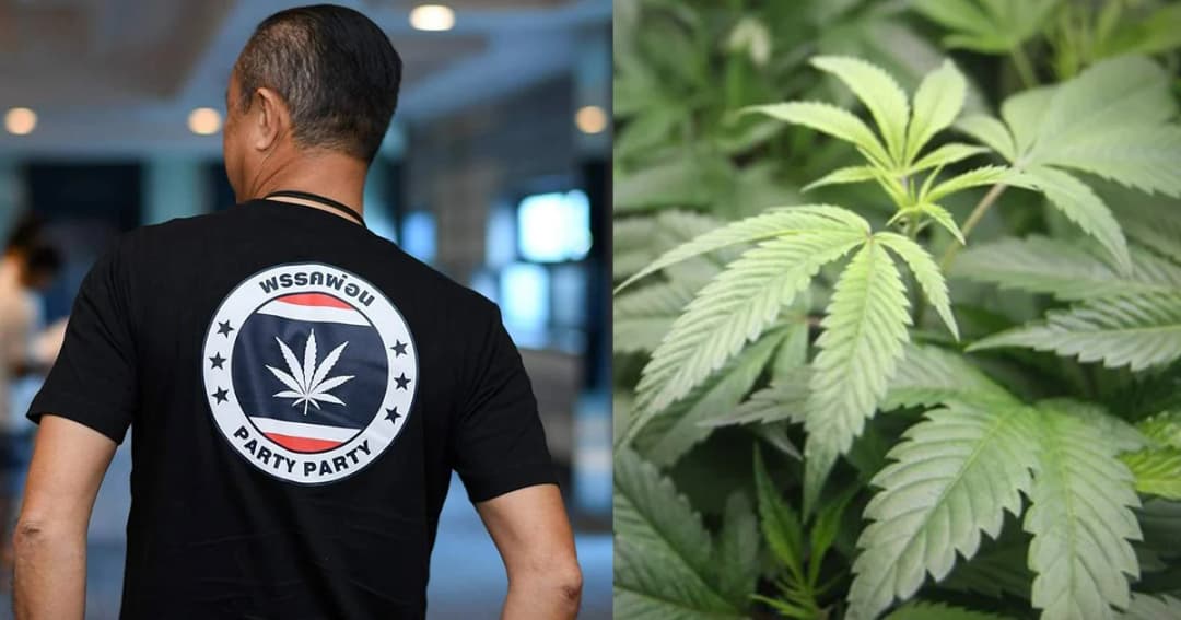 “เนวิน” ออกโรงไม่เห็นด้วยตำรวจจับกัญชาเพื่อการแพทย์