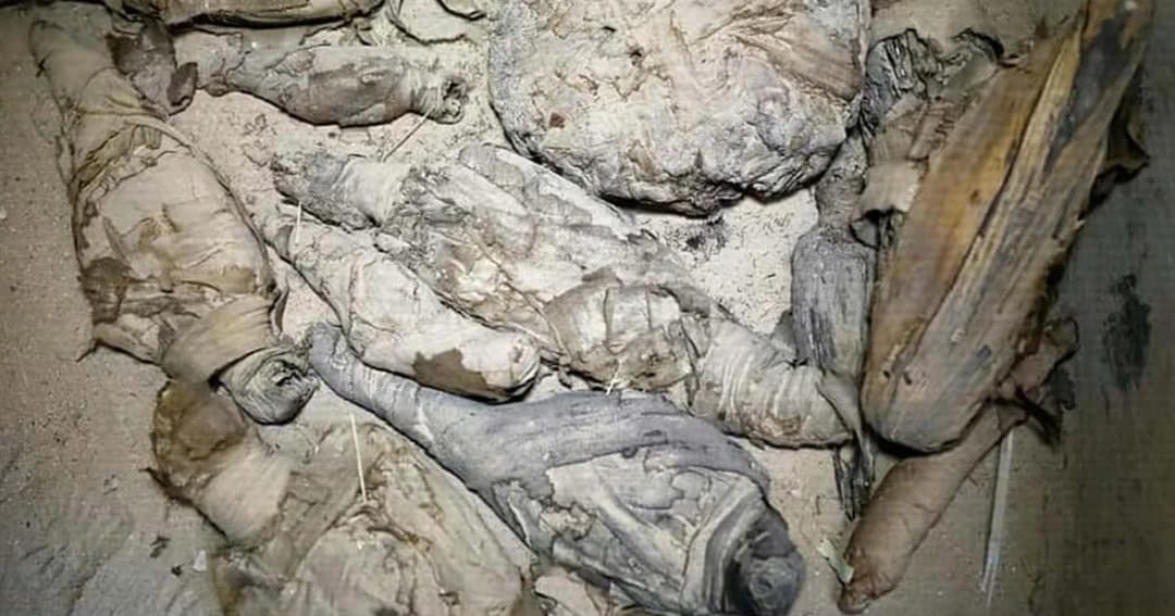 พบ “มัมมี่หนู” โบราณในสุสานอียิปต์