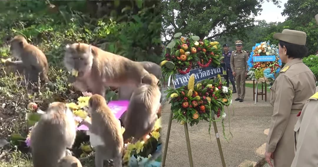 เจ้าจ๋อนั่งรอกินพวงมาลาผัก-ผลไม้ หลังเสร็จพิธี