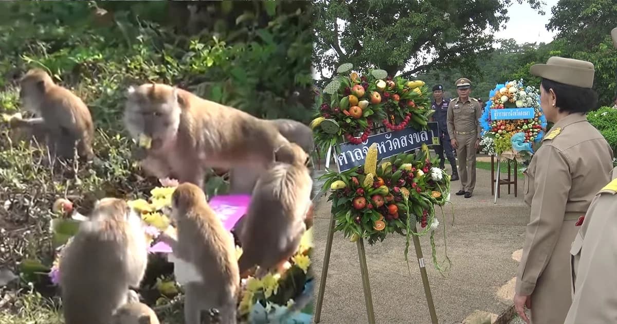 เจ้าจ๋อนั่งรอกินพวงมาลาผัก-ผลไม้ หลังเสร็จพิธี