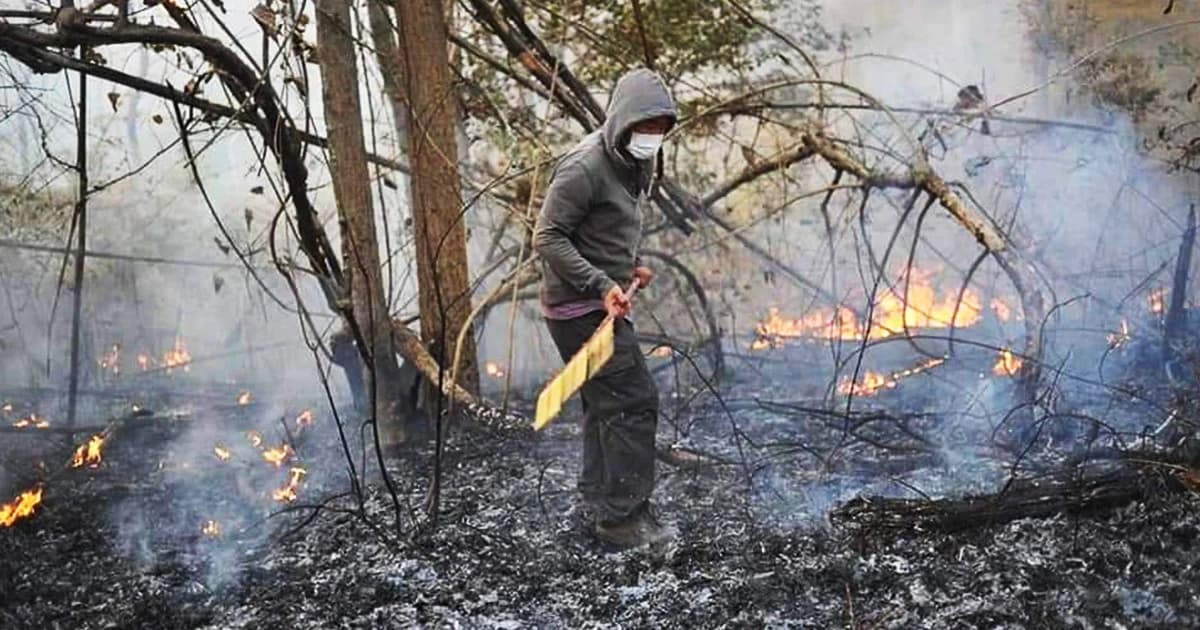 ชู ‘ดอยหลวงเชียงดาว’ โมเดลสร้างป่าเปียกแก้ไฟป่ายั่งยืน